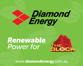 renewable-power-for-the-block-2016